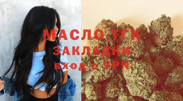 индика Дмитровск
