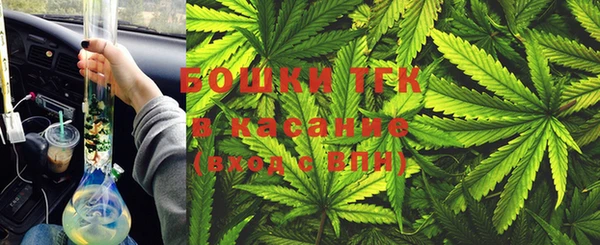 ГАЛЛЮЦИНОГЕННЫЕ ГРИБЫ Няндома
