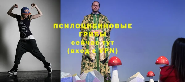 трава Нязепетровск