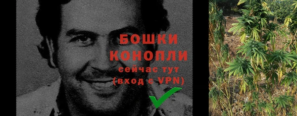 ГАЛЛЮЦИНОГЕННЫЕ ГРИБЫ Няндома