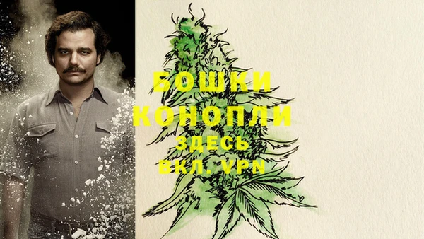 PSILOCYBIN Дмитров