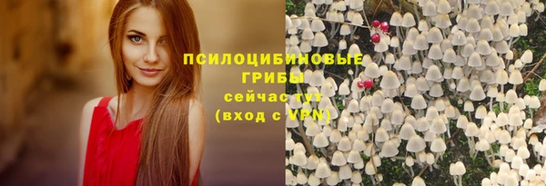 ГАЛЛЮЦИНОГЕННЫЕ ГРИБЫ Няндома
