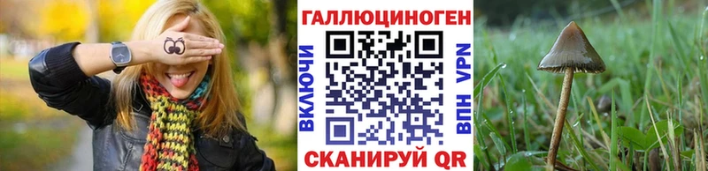 Псилоцибиновые грибы прущие грибы  Радужный 